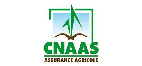 CNAAS
