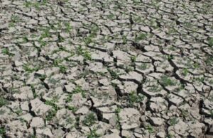 Image shows shrank soil that is unable to absorb water that makes excess rainfall even more troublesome.