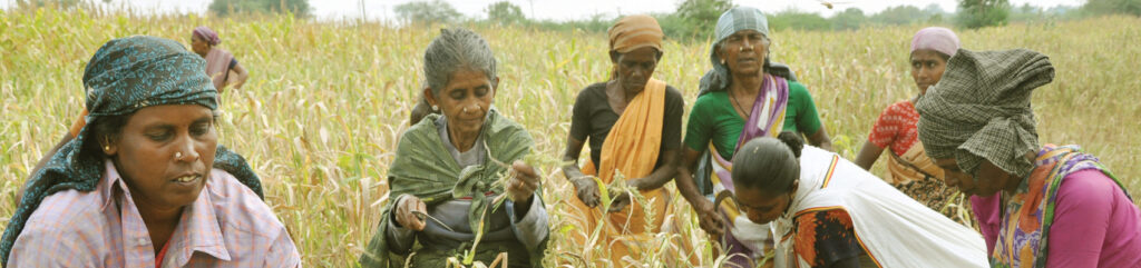 Women farmers of DHAN